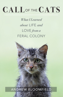 Bloomfield - Call of the cats: what I learned about love and life from a feral colony