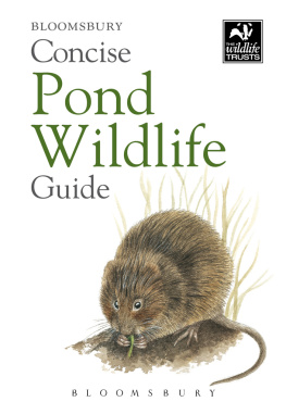 Bloomsbury (Firm) - Bloomsbury concise pond wildlife guide