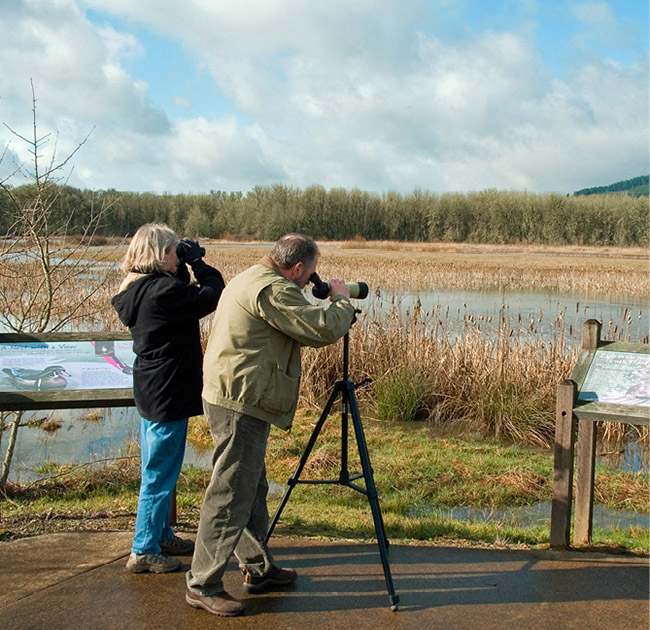 Spotting scopes mounted on tripods or vehicle windows are especially useful - photo 5