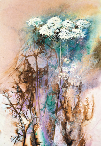 Summer Hogweed 50 33 cm 19 13 in About this book Painting a picture is like - photo 12