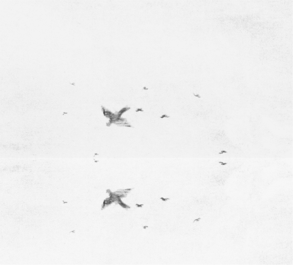 Detail birds fly overhead Avercamp and his colleagues composed and - photo 5