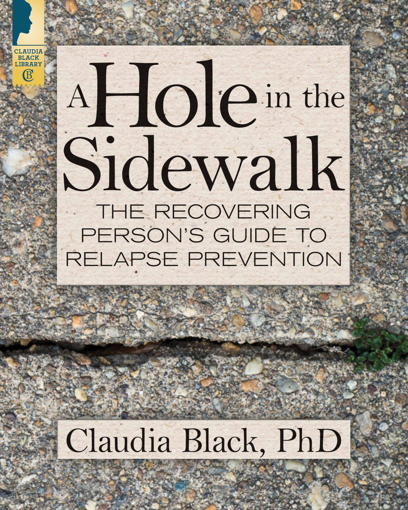 A Hole in the Sidewalk A Hole in the Sidewalk THE RECOVERING PERSONS GUIDE TO - photo 1