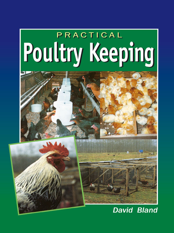 Practical Poultry Keeping - image 1