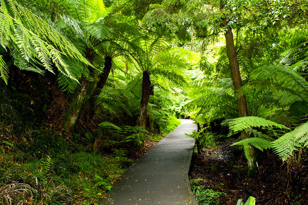 LIZ JAKIMOWSHUTTERSTOCK Canberra Top Sights A playful interactive - photo 8