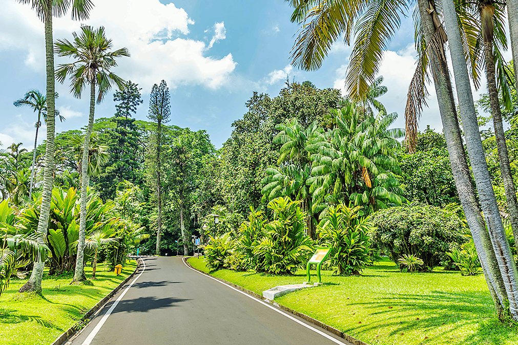 HILDAWEGES PHOTOGRAPHYSHUTTERSTOCK Jakarta Top Sights Indonesias myriad - photo 12