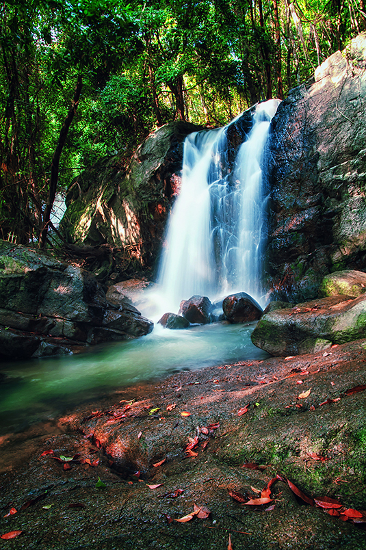 DMITRYVPETRENKOGETTY IMAGES Ko Samui Top Experiences Primordial idyllic - photo 14