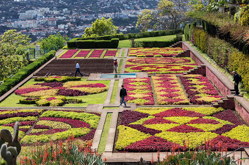 WJAREKSHUTTERSTOCK Madeira Top Experiences Funchals high-altitude villa - photo 7