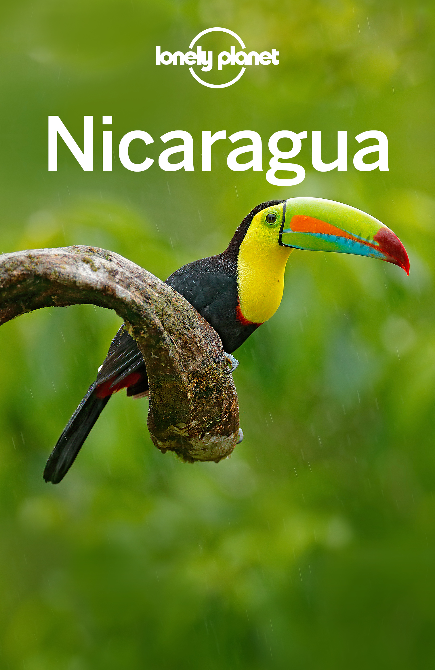 Lonely Planet Nicaragua - image 1