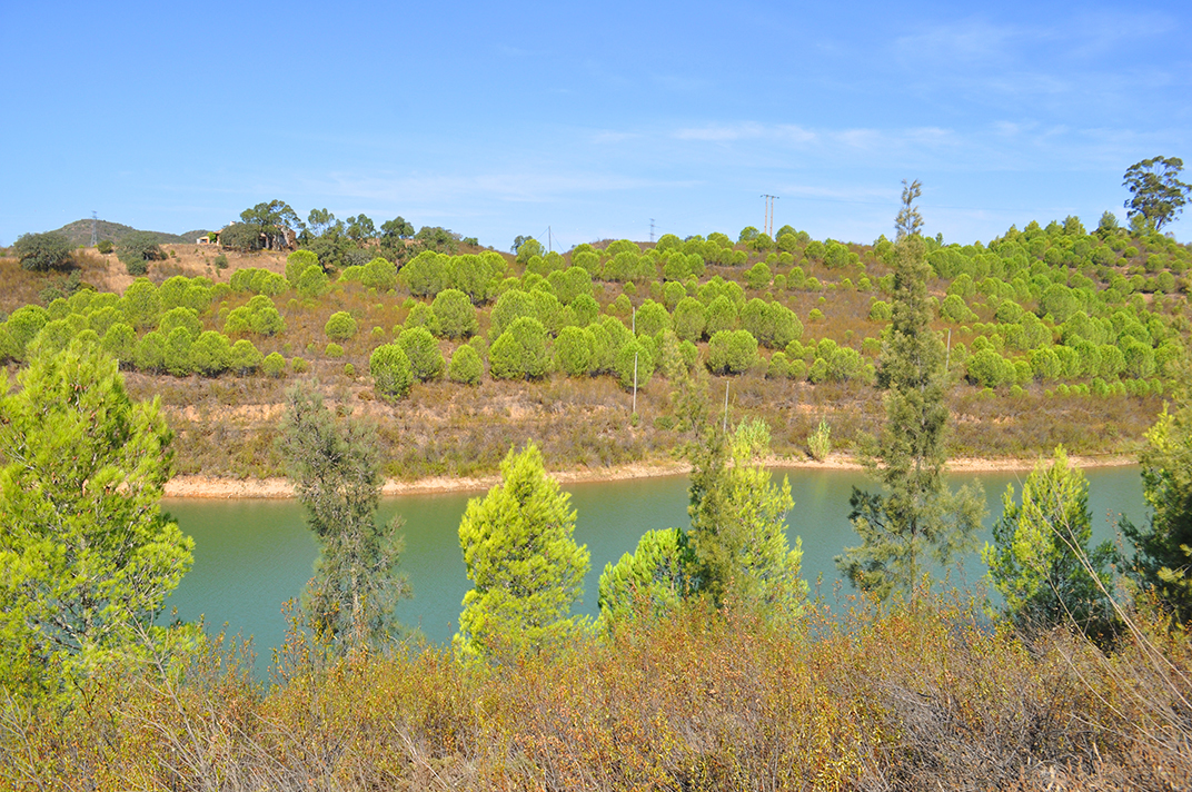 FRANCISCOJORGANSHUTTERSTOCK Algarve Top Sights Mighty clifftop fortress - photo 10