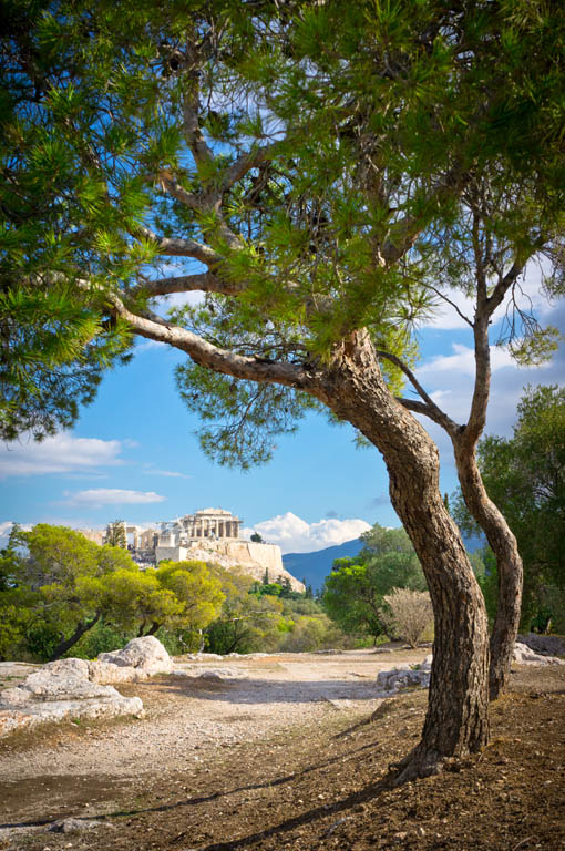 View of the Parthenon and Acropolis MFFOTOSHUTTERSTOCK AthensTop Sights - photo 5