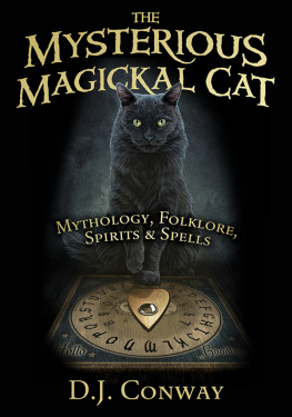 D J Conway The Mysterious Magickal Cat