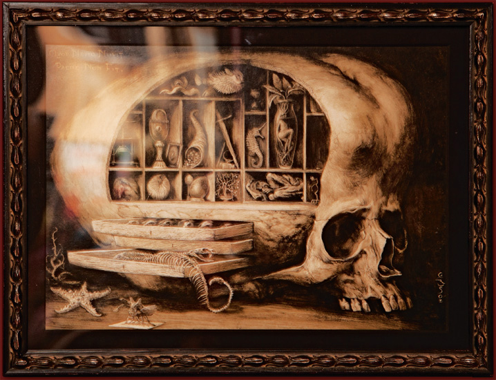 A painting at Bleak House depicting a skull full of compartments that contain - photo 5