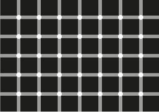 How many black dots do you see a The whole page is full of - photo 11