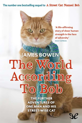 James Bowen - The World According to Bob: The Further Adventures of One Man and His Streetwise Cat