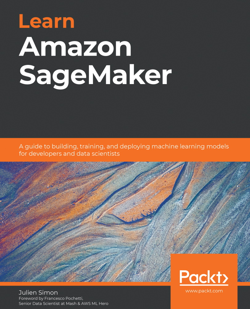 Learn Amazon SageMaker A guide to building training and deploying machine - photo 1