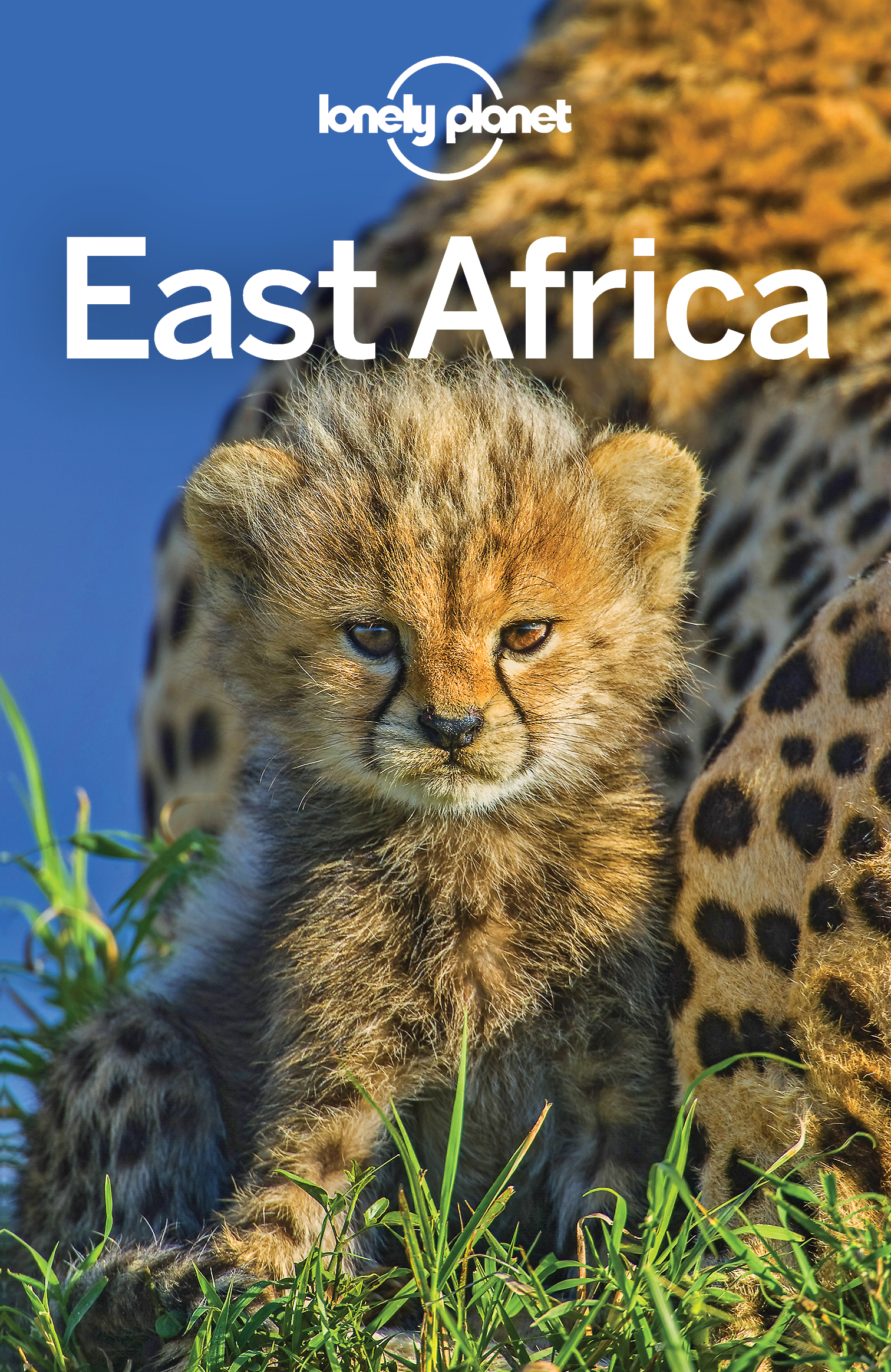 Lonely Planet East Africa - image 1