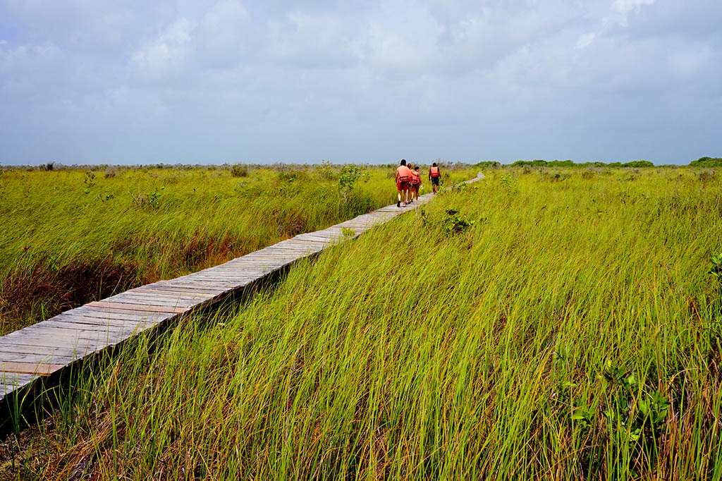 INSPIRED BY MAPSSHUTTERSTOCK Eating Seafood is king along the coast - photo 17