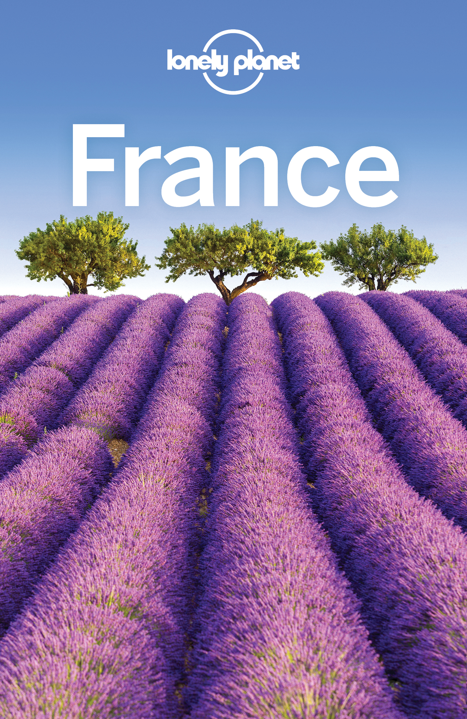 Lonely Planet France - image 1