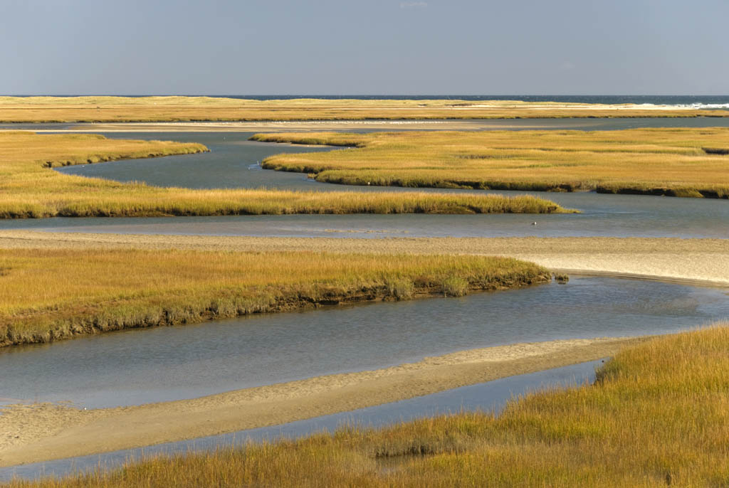 Cape Cod National Seashore Salt marshes on the coast FRANKVANDENBERGHGETTY - photo 6