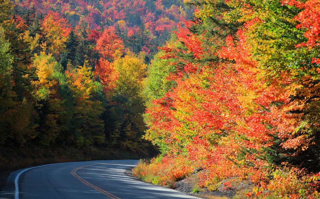 New Hampshire Kancamagus Hwy SNEHITShutterstock NEW ENGLAND HIGHLIGHTS - photo 4