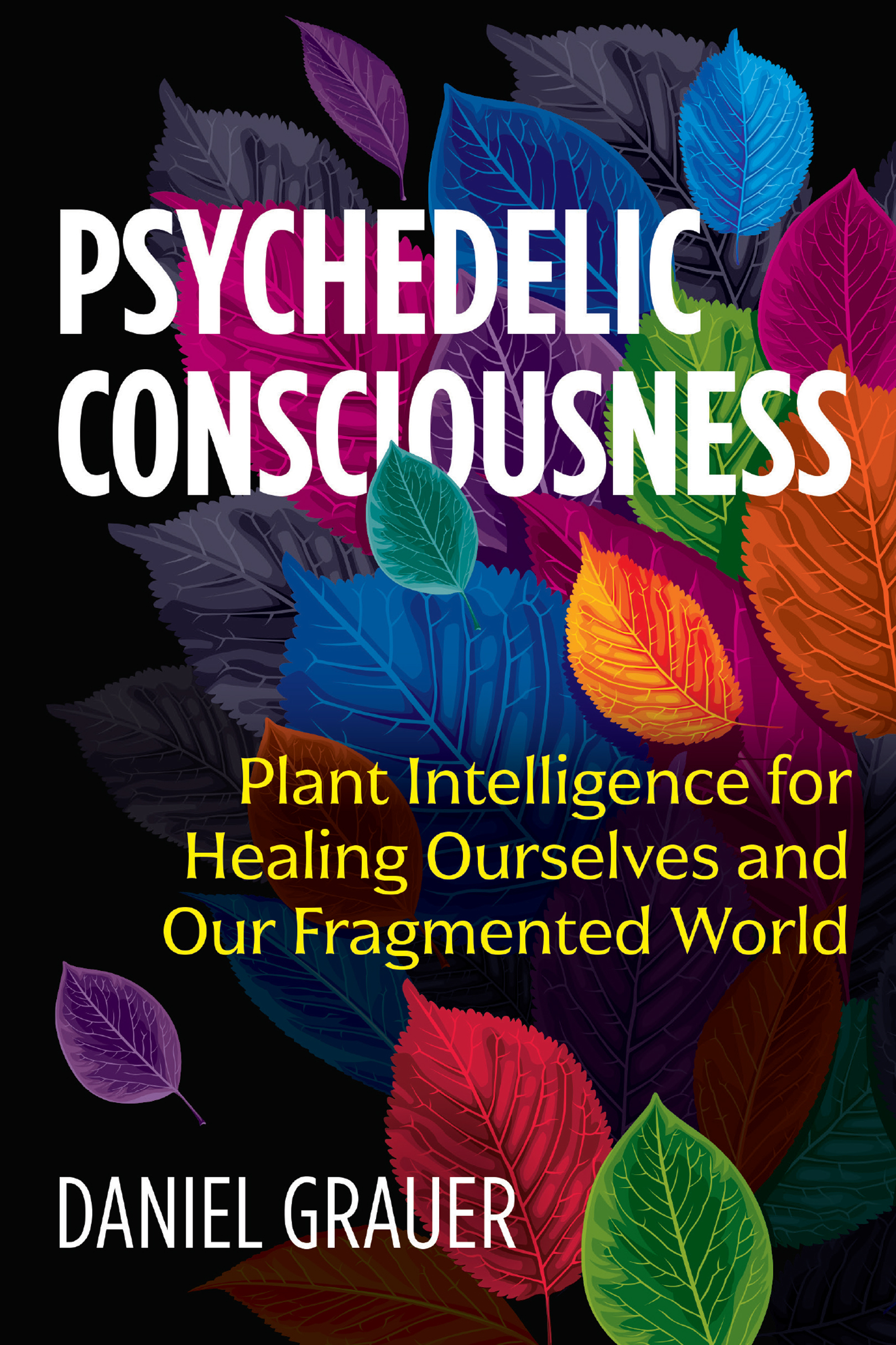 PSYCHEDELIC CONSCIOUSNESS Daniel Grauers beautiful and insightful book - photo 1