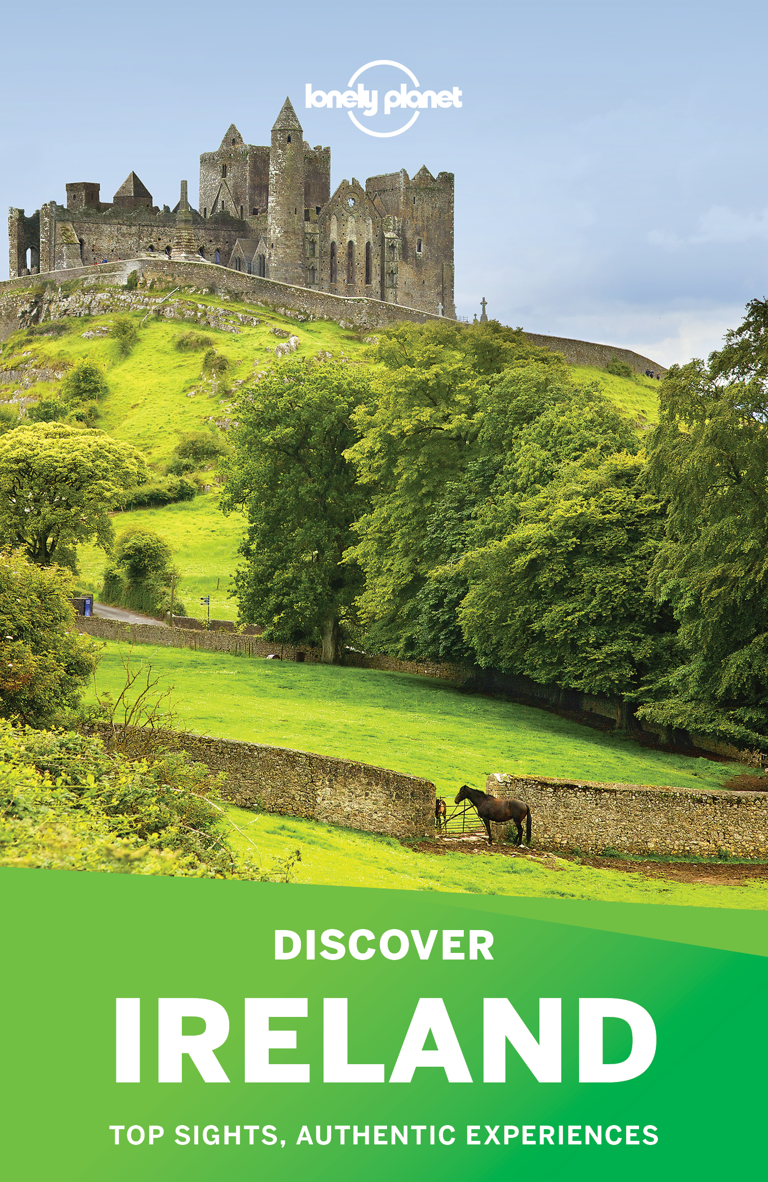 Lonely Planet Discover Ireland - image 1