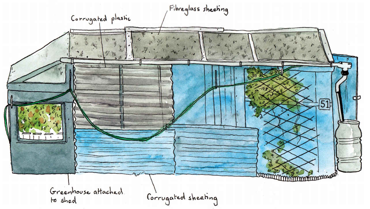 A Hut of Ones Own How to Make the Most of Your Allotment Shed - photo 9