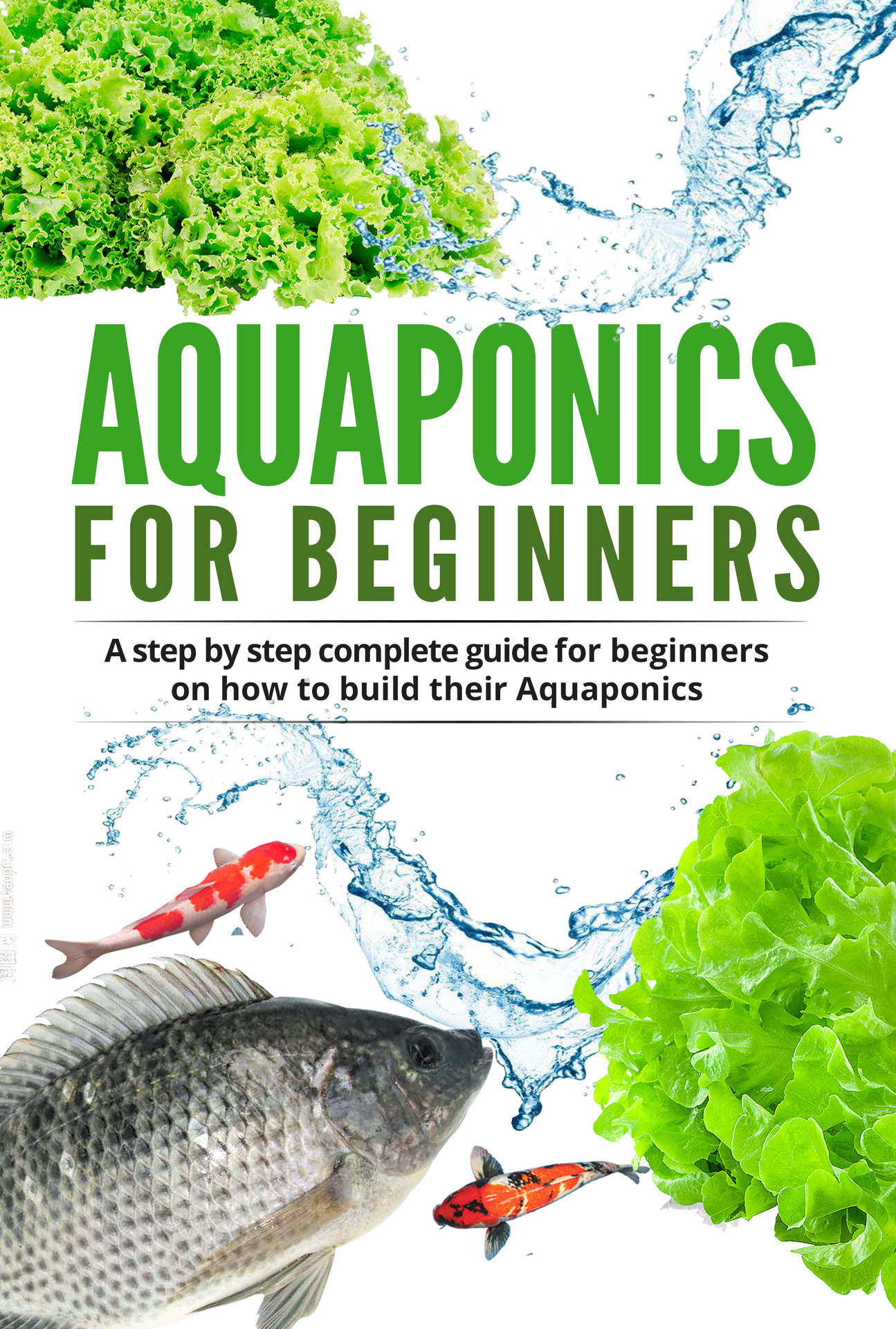 Aquaponics for Beginners A step by step complete guide for beginners on how to - photo 1
