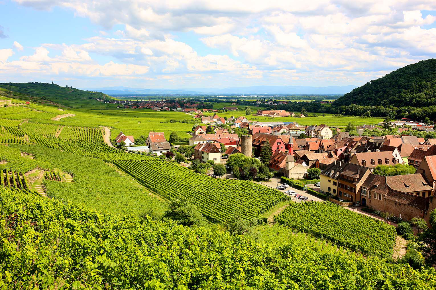 CROMARYSHUTTERSTOCK EUROPEAN RIVERS TOP 12 PLAN YOUR TRIP Western Danube - photo 6