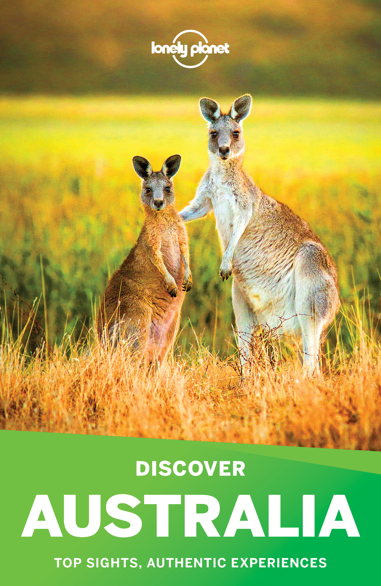 Lonely Planet Discover Australia - image 1