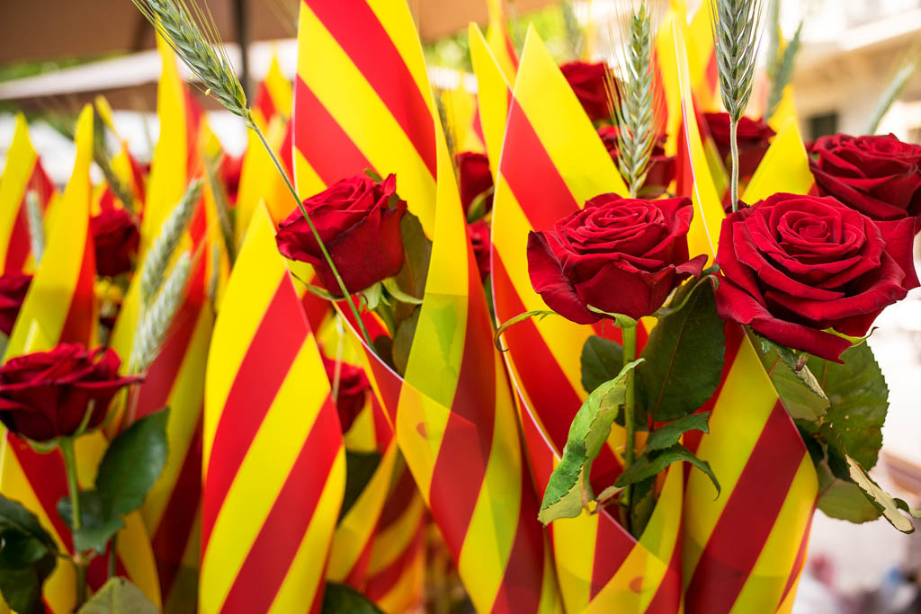 Da de Sant Jordi Kenneth Dedeu Shutterstock January Barcelonins head - photo 6