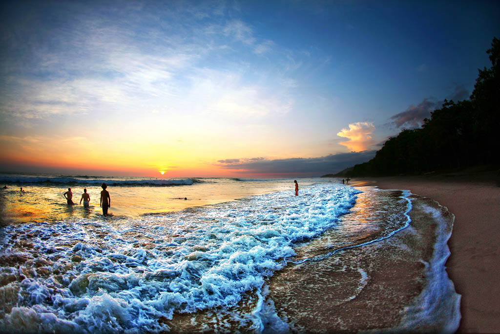 N KShutterstock COSTA RICAS TOP 12 PLAN YOUR TRIP Tortuguero Sea-turtle - photo 5