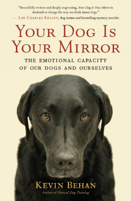 Kevin Behan - Your Dog Is Your Mirror