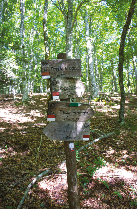 Signs in Casentino Park showing trails to nearby mountains Stage 5 - photo 7