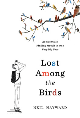 Neil Hayward - Lost Among the Birds