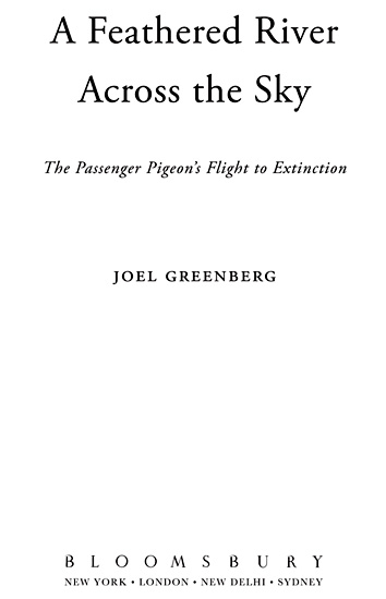 Copyright 2014 by Joel Greenberg All rights reserved No part of this book may - photo 1