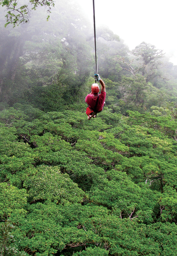 Ziplining through the cloud forest at Monteverde Playing in a Pickup - photo 15