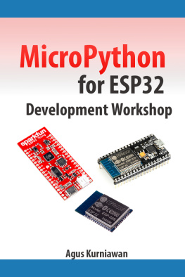 Agus Kurniawan - MicroPython for ESP32 Development Workshop