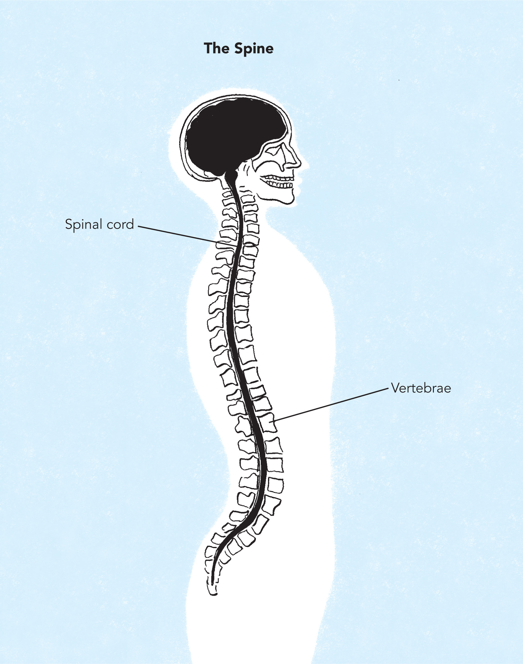 Reg Townsend was cast in white plaster from neck to ankles He spent his days - photo 7