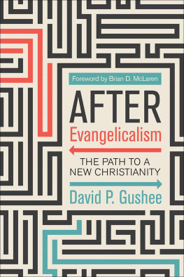 David P. Gushee - After Evangelicalism