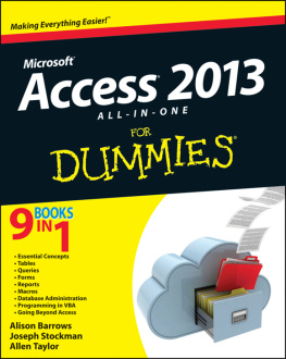 Barrows Alison Access 2013 All-in-One For Dummies