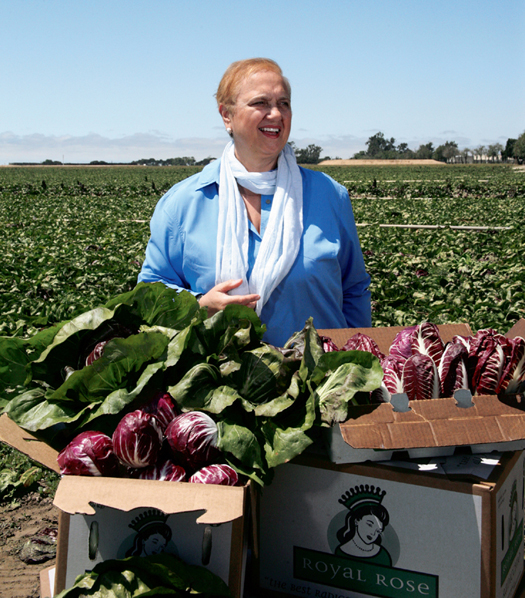 Harvesting radicchio in Salinas Valley California Acknowledgments T here are - photo 6