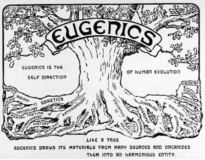 A eugenics leaflet prepared by Harry Laughlin director of the Eugenics Record - photo 3