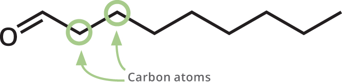 The skeletal formulas show each carbon atom as a bend in the chain of the - photo 9