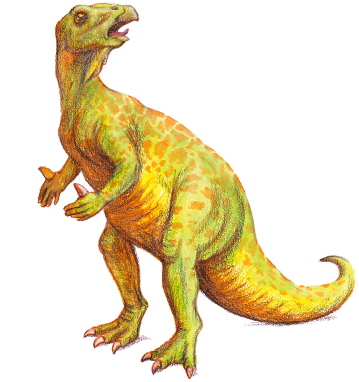 CARTOON STYLE This dinosaur is pretty different It has been drawn and colored - photo 8