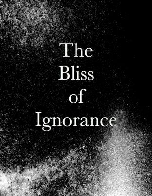 The Bliss of Ignorance Jonathan Turner 2011 All rights reserved - photo 1