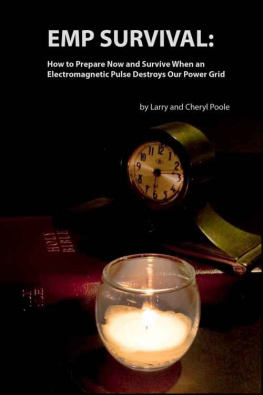 Larry Poole - EMP Survival: How to Prepare and Survive, When an Electromagnetic Pulse Destroys Our Power Grid