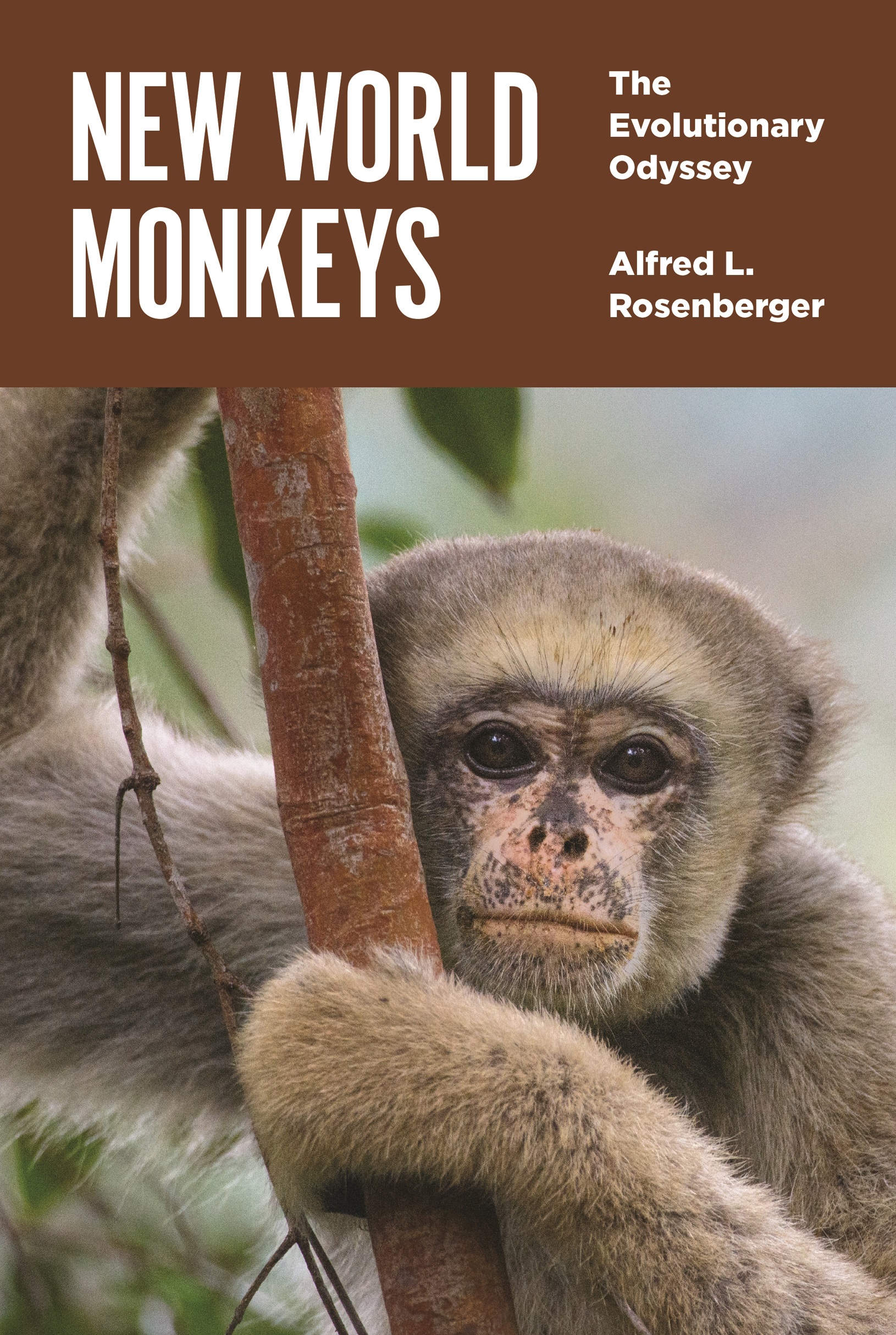 New World Monkeys NEW WORLD MONKEYS The Evolutionary Odyssey Alfred - photo 1