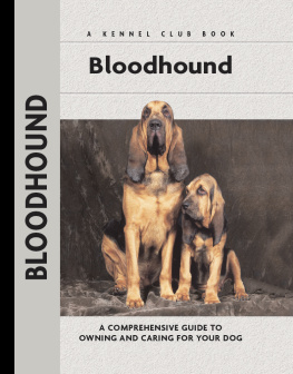 Bauer Bloodhound