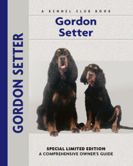 Bauer - Gordon Setter
